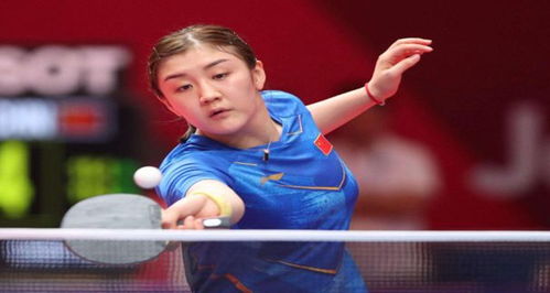 会成为大家 会成为大家